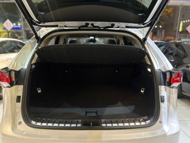 LEXUS凌志 NX200T  第15張相片