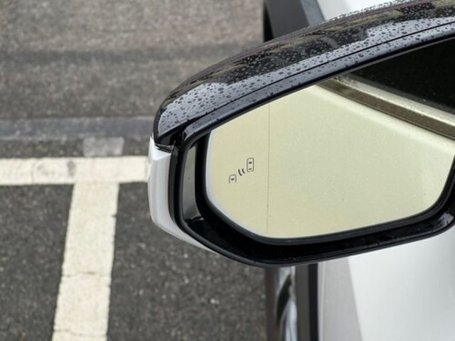 LEXUS凌志 UX 300E  第7張相片