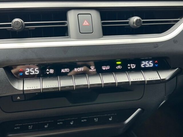 LEXUS凌志 UX 300E  第12張相片