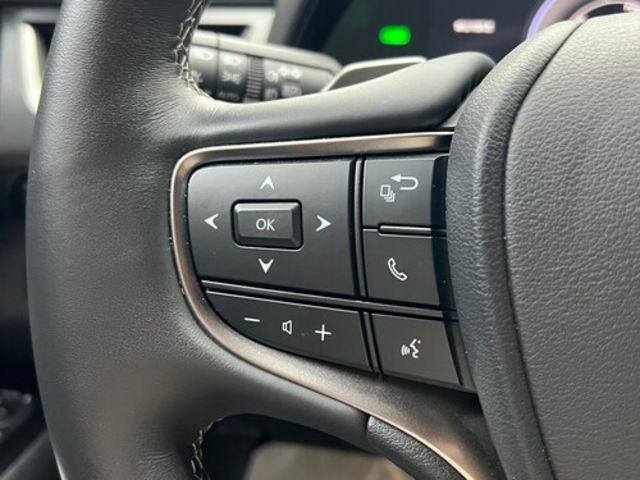 LEXUS凌志 UX 300E  第16張相片