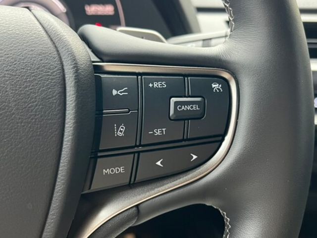 LEXUS凌志 UX 300E  第17張相片