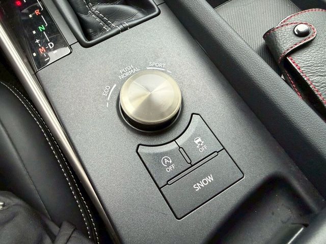 LEXUS凌志 IS 300  第13張相片