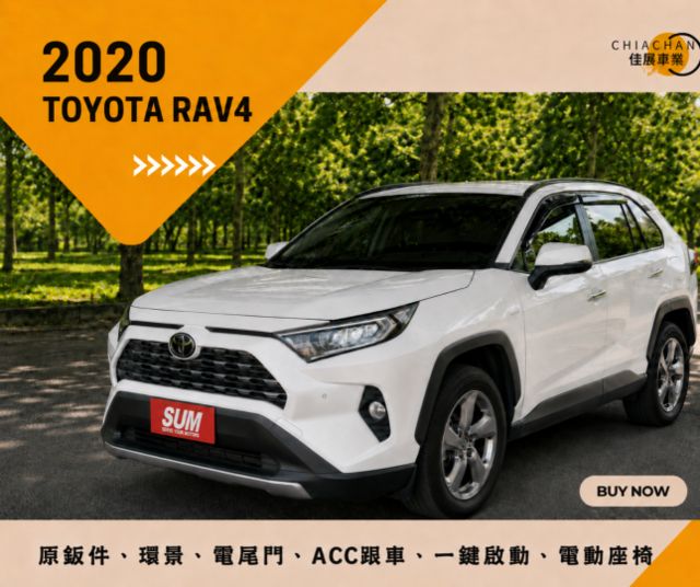 TOYOTA RAV4/ I-KEY/電動尾門/環景/ACC跟車  第1張相片