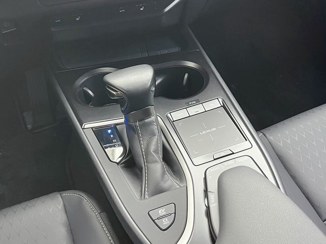 LEXUS凌志 UX250H  第6張相片