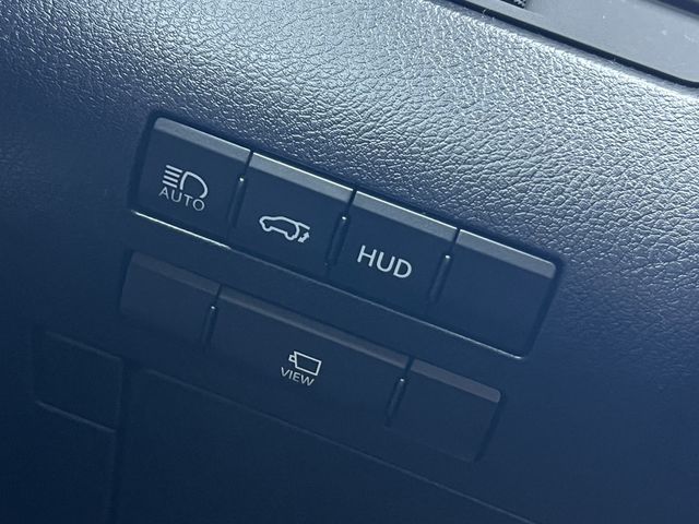 LEXUS凌志 RX300  第10張相片