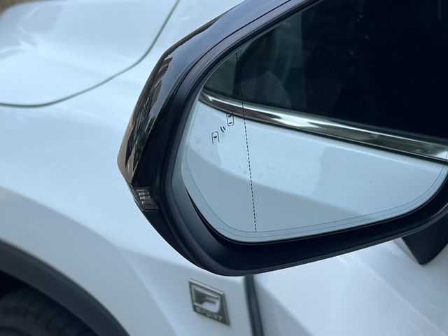 LEXUS凌志 RX300  第12張相片