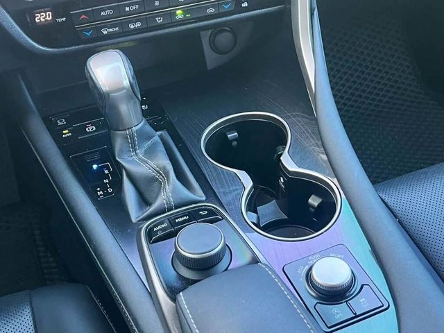 LEXUS凌志 RX300  第8張相片