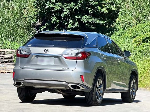 LEXUS凌志 RX300  第12張相片