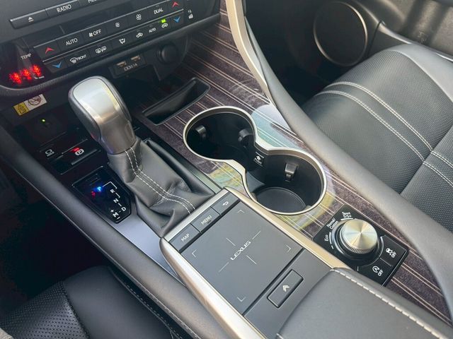 LEXUS凌志 RX300  第13張相片