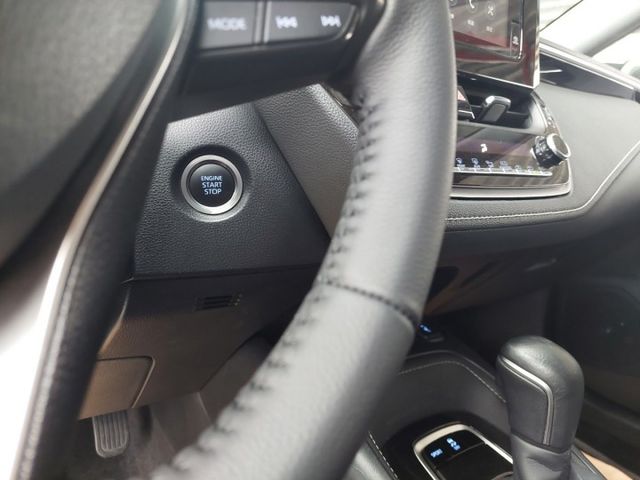 AURIS  第2張相片