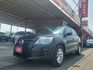TIGUAN  第1張縮圖