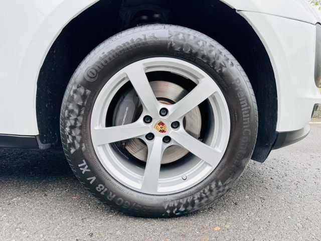 MACAN  第14張相片
