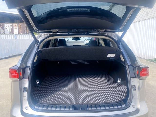 LEXUS凌志 NX300  第16張相片