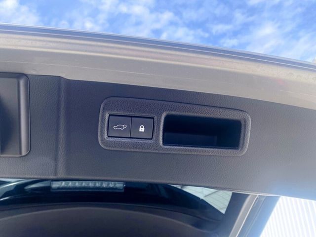 LEXUS凌志 NX300  第17張相片