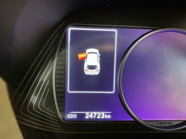 LEXUS凌志 UX200  第6張相片