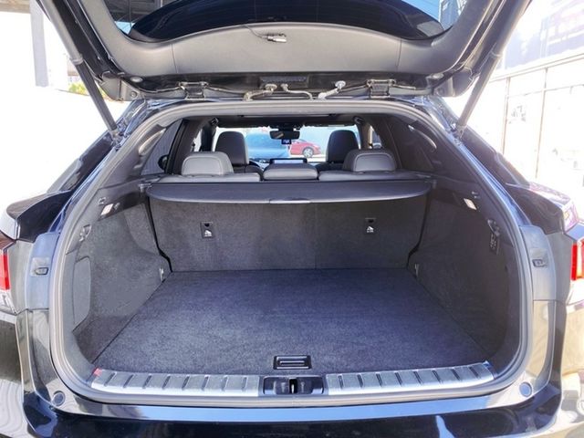 LEXUS凌志 RX300  第16張相片