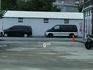 BMW寶馬 X4 XDRIVE20I  第7張縮圖