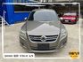 VOLKSWAGEN福斯 TIGUAN  第3張縮圖