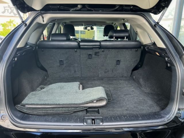 LEXUS凌志 RX270  第12張相片