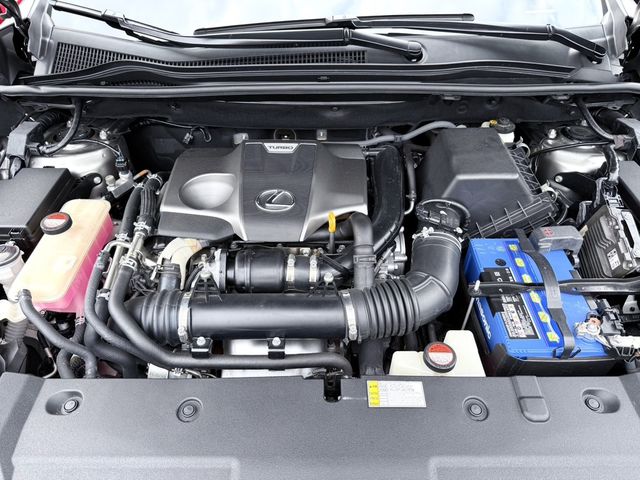 LEXUS凌志 NX200T  第6張相片