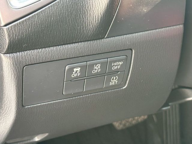 旗艦版 定速巡航 車道偏離 電動座椅 倒車顯影 BOSE音響 原廠主機 I-key摸門 恆溫空調 盲點偵測  第12張相片