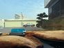 HYUNDAI現代 ELANTRA  第29張縮圖