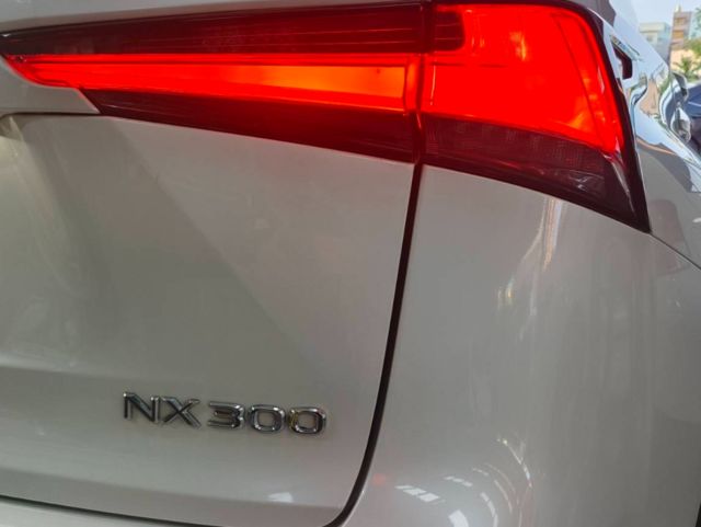 LEXUS凌志 NX300  第9張相片