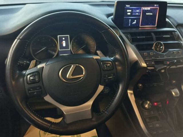LEXUS凌志 NX300  第11張相片