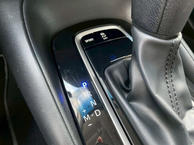 汽油豪華版/ACC主動跟車/車道偏離警示/車道維持輔助/AEB自動緊急煞車/方向盤快控/恆溫/藍芽/胎壓監控  第10張相片