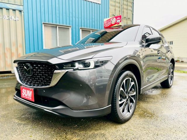 頂規Premium版/駕駛座8向電調/雙前座導流式通風椅/ALH智慧頭燈/電尾門含腳踢/HUD抬顯/無線CARPLAY  第1張相片