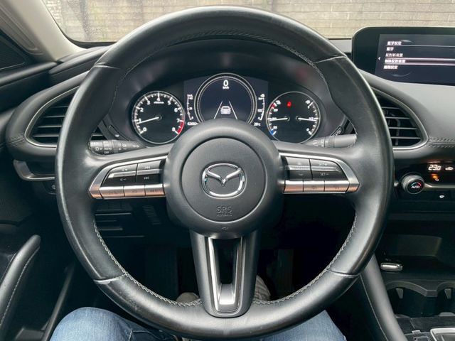 尊榮安全型/MRCC全速域跟車/SBS智慧前行煞車輔助/盲點/車道偏移警示/後方來車警示/CARPLAY/電子手煞/恆溫  第8張相片
