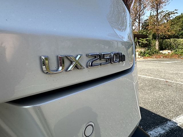 LEXUS凌志 UX250H  第5張相片