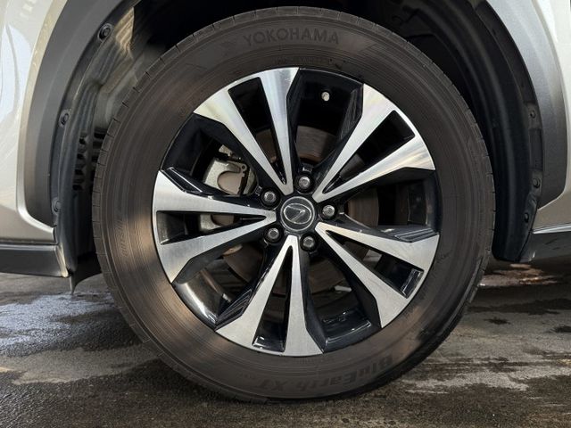 正20年 菁英plus+版 2.0L - ACC跟車/車道偏移/環景影像/雙區恆溫/盲點/免鑰匙摸門/電動尾門/雙電動椅  第20張相片