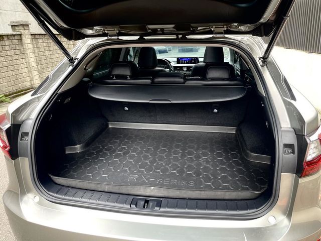 LEXUS凌志 RX200T  第8張相片