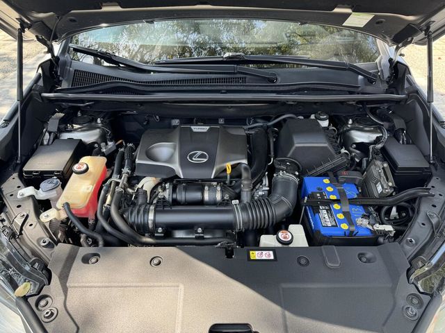 LEXUS凌志 NX300  第11張相片