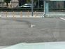 330i Luxury G20 5AT 原鈑件 盲點 加熱椅 抬頭顯示器 無線CarPlay  第7張縮圖