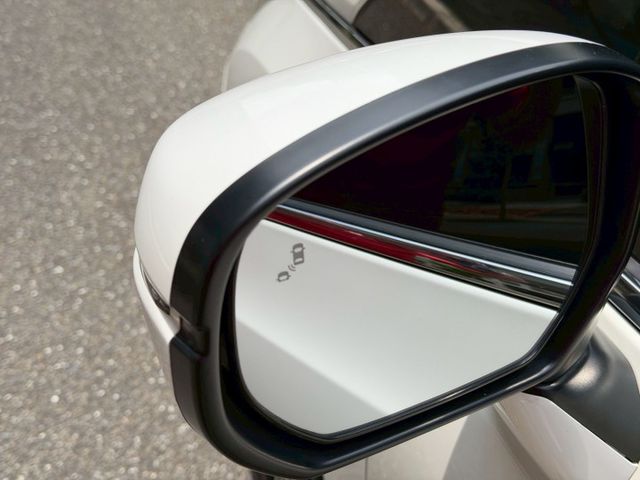 APEX版本／免鑰匙／360環景／雙電滑門／盲點偵測／電動椅／無線CarPlay／後座出風口  第18張相片