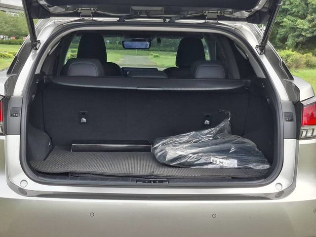 LEXUS凌志 RX300  第5張相片