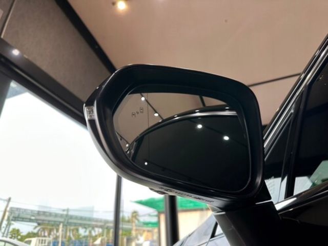 LEXUS凌志 NX300H  第5張相片
