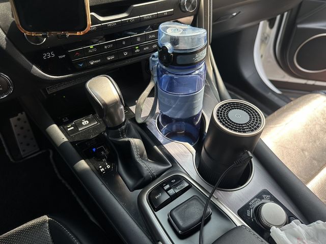 LEXUS凌志 RX300  第12張相片