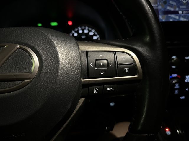 LEXUS凌志 LM300H  第11張相片