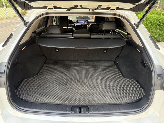 LEXUS凌志 RX300  第10張相片
