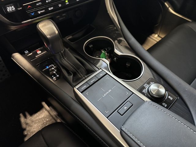 LEXUS凌志 RX300  第9張相片