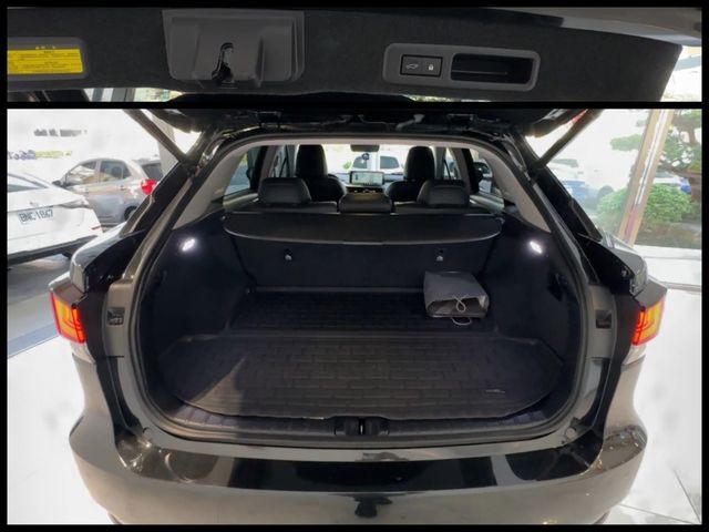 LEXUS凌志 RX300  第19張相片