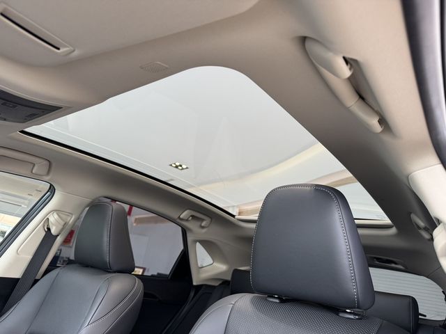 LEXUS凌志 NX300H  第9張相片