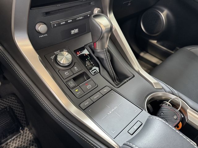 LEXUS凌志 NX300H  第11張相片
