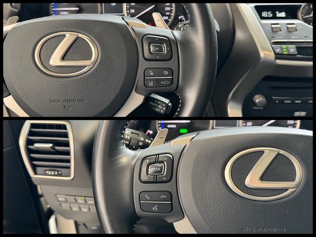 LEXUS凌志 NX300H  第17張相片
