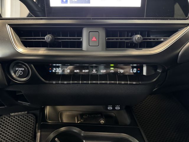 LEXUS凌志 UX250H  第10張相片
