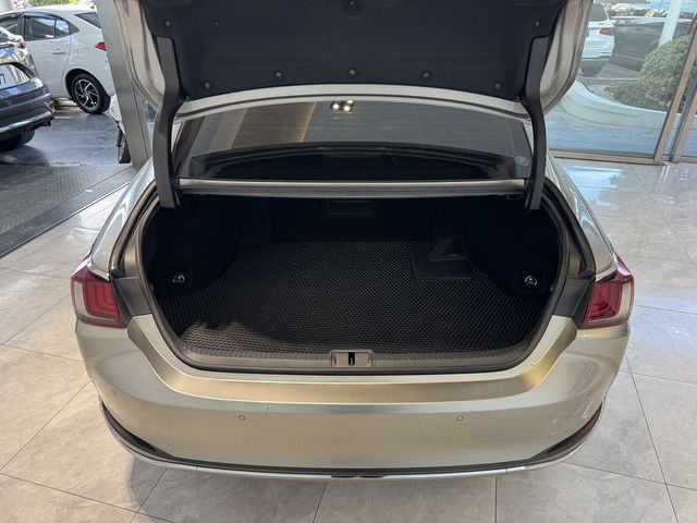 LEXUS凌志 ES300H  第15張相片