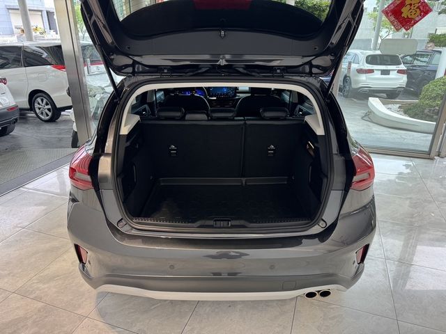 FORD福特 FOCUS ACTIVE  第15張相片